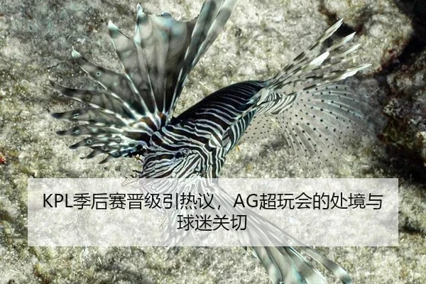 ji-hou-sai-jin-ji-yin-re-yi-chao-wan-hui-de-chu-jing-yu-qiu-mi-guan-qie-2-881.jpg